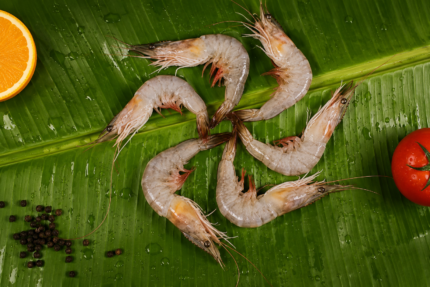 BACKWATER- NAARAN- PRAWNS / KAYAL NAARAN CHEMMEEN (MEDIUM) — നാരൻ ചെമ്മീൻ / കായൽ നാരൻ (Naaran Chemmeen)