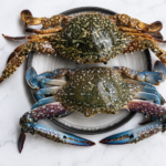 BLUE CRAB — നീല ഞണ്ട് (Neela Njandu)