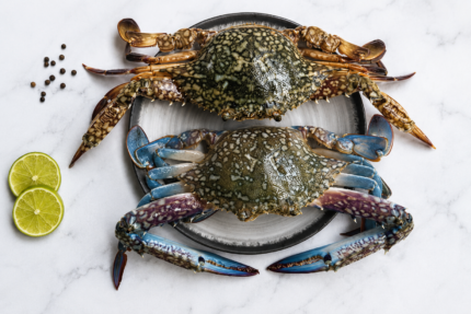 BLUE CRAB — നീല ഞണ്ട് (Neela Njandu)