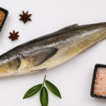 GREY MULLET / THIRUTHA CHEENAVALA - BIG — തിരുത്ത ചെീനവാല (Thirutha Cheenavala)