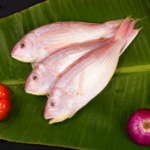PINK PERCH / KILIMEEN - BIG — കിലിമീൻ (Kilimeen)