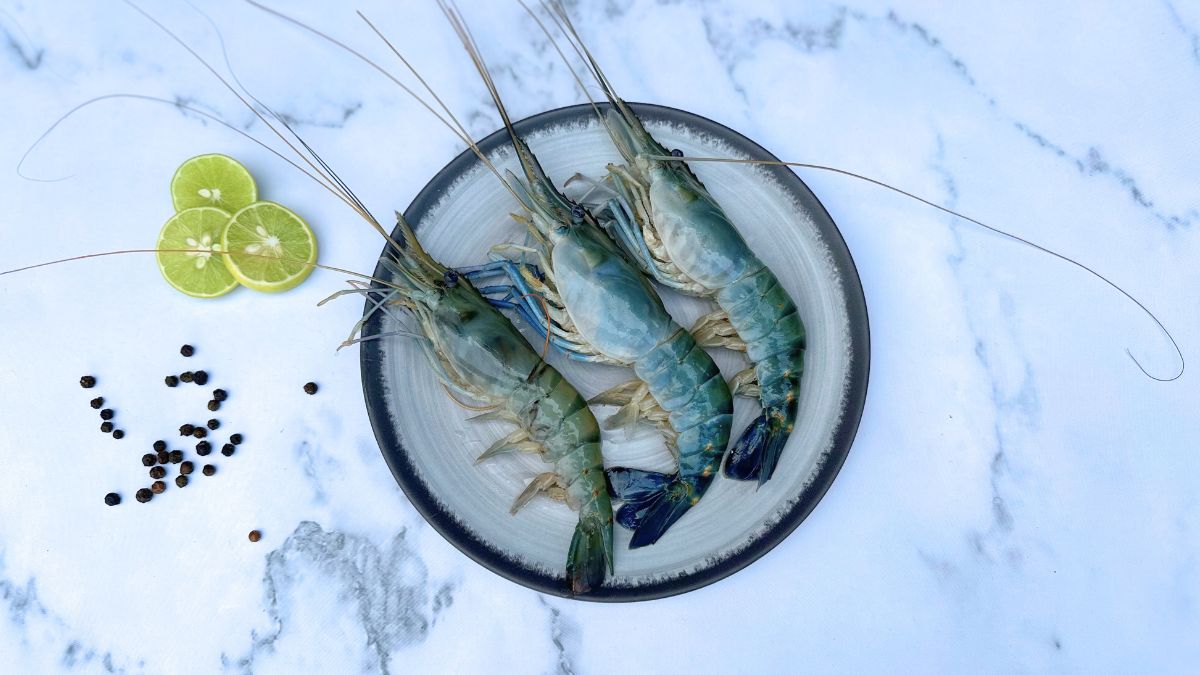 xr:d:DAF1Kn2Gzj0:46,j:1171348864943905552,t:23122106 Prawns Scampi / Nanneer Eral
സ്കാംപി ചെമ്മീൻ / നാനീർ എരൽ
(Scampi Chemmeen / Nanneer Eral) - Image 1