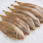 SOLE FISH / NANG - MANTHAL — നാങ്ങ് / മന്താൾ (Nang / Manthal)